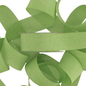 wstążka tkana JOHNNY 40mm*20m APPLE GREEN