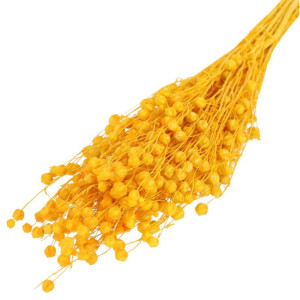 suszony len 70g (CHN) barwiony