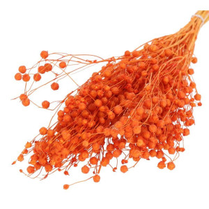 suszony len 70g (CHN) barwiony