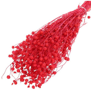 suszony len 70g (CHN) barwiony