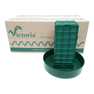 6szt gabbia mała wys:25cm szer:23,5 Victoria mokra