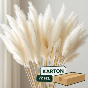 3szt trawa pampasowa farbowana wys:145-150cm