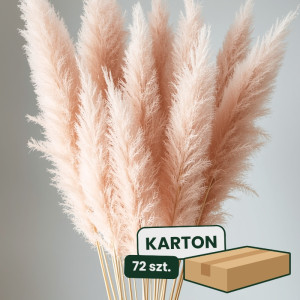 3szt trawa pampasowa farbowana wys:145-150cm