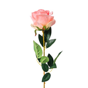 róża pojedyncza wys:78cm szer:8cm