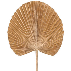 liśc palmy pojedyńczy wys:53cm szer:25cm złoty