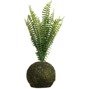wisząca kompozycja z paprocią wys:35cm