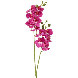 storczyk gumowany mini dwupędowy wys:57cm