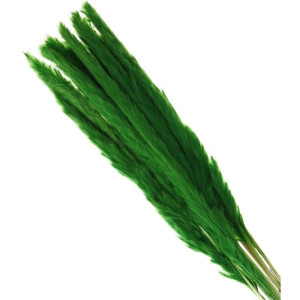 10szt trawy pampasowe Jaxx wys:70-75cm
