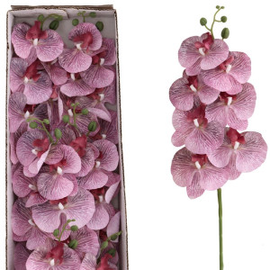 48szt storczyki gumowane na łodydze(7) wys:90cm