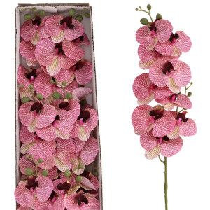 36szt storczyki gumowane(9) wys:100cm