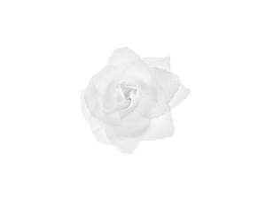 24szt Różyczki do przylepiania, biały, 9cm