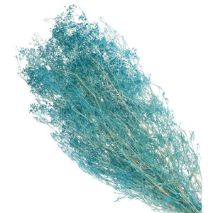 50g gipsówka - susz wys:70cm