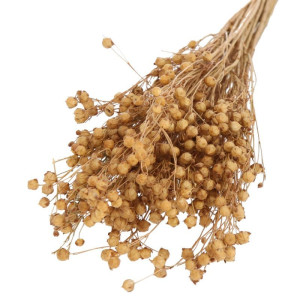 suszony len 70g (CHN) naturalny
