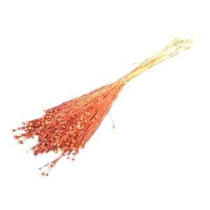 suszony len 70g (CHN) barwiony