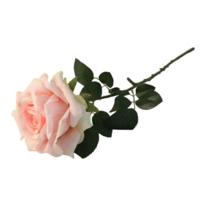róża na łodydze wys:65cm