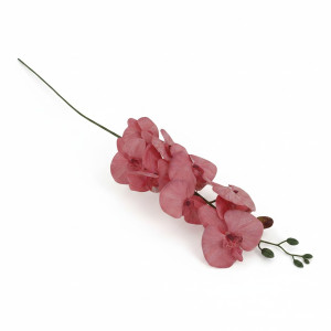 storczyk wys:90cm szer:15cm