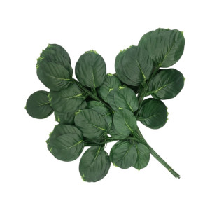 liście olchy '3 wys:70cm