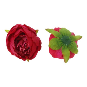 główki peoni - pełników szer:9cm