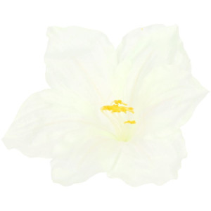 główki hibiskus szer:20cm