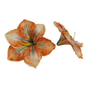 główki hibiskus szer:20cm
