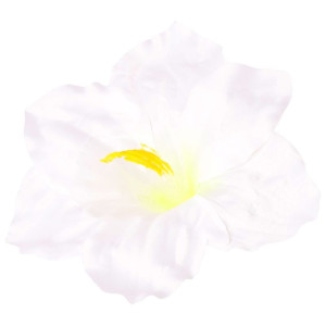 główki hibiskus szer:20cm