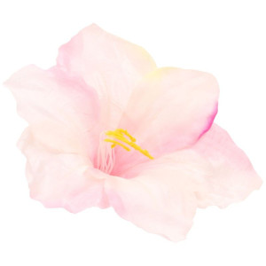 główki hibiskus szer:20cm