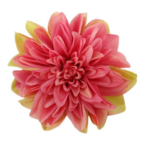 główki dalii szer:18cm wys:6cm