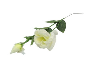piki eustoma z pakiem wys:48cm