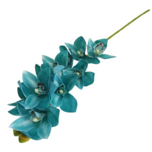 storczyk cymbidium wys:75cm
