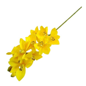 storczyk cymbidium wys:75cm