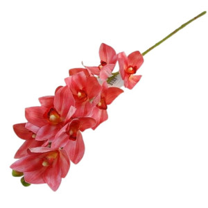 storczyk cymbidium wys:75cm