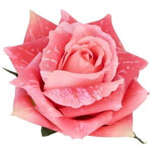 główki róży 3d szer:13cm wys:8cm