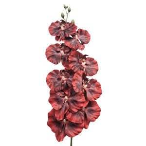 storczyk satynowy '9 wys:95cm