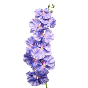 storczyk satynowy '9 wys:95cm