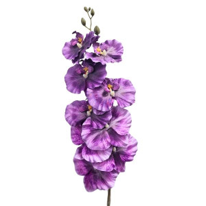 storczyk satynowy '9 wys:95cm
