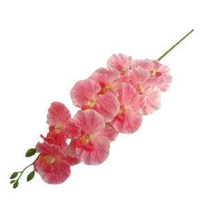 storczyk satynowy '9 wys:95cm