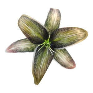 główki lilii 3d szer:21,5cm