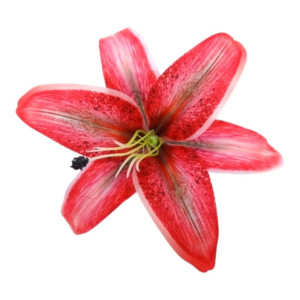 główki lilii 3d szer:21,5cm