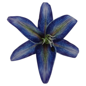 główki lilii 3d szer:21,5cm