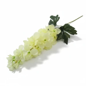 ostróżki na łodydze wys:75cm