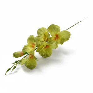 mieczyki wys:50cm