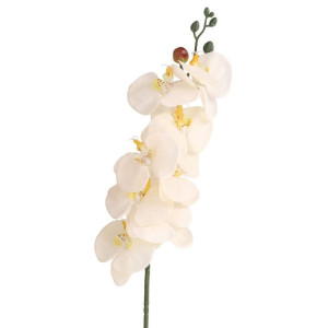 storczyk(8) wys:90cm szer:15cm nakrapiany