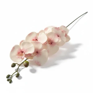 storczyk(8) wys:90cm szer:15cm nakrapiany