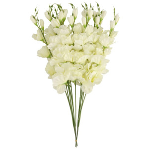 mieczyki na łodydze wys:64cm
