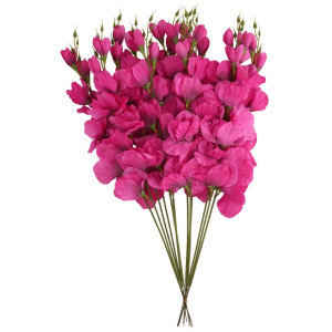 mieczyki na łodydze wys:64cm