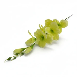 mieczyki na łodydze wys:64cm
