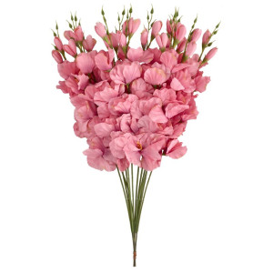 mieczyki na łodydze wys:64cm