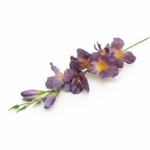 mieczyki na łodydze wys:64cm