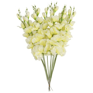 mieczyki na łodydze wys:64cm