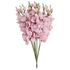 mieczyki na łodydze wys:64cm